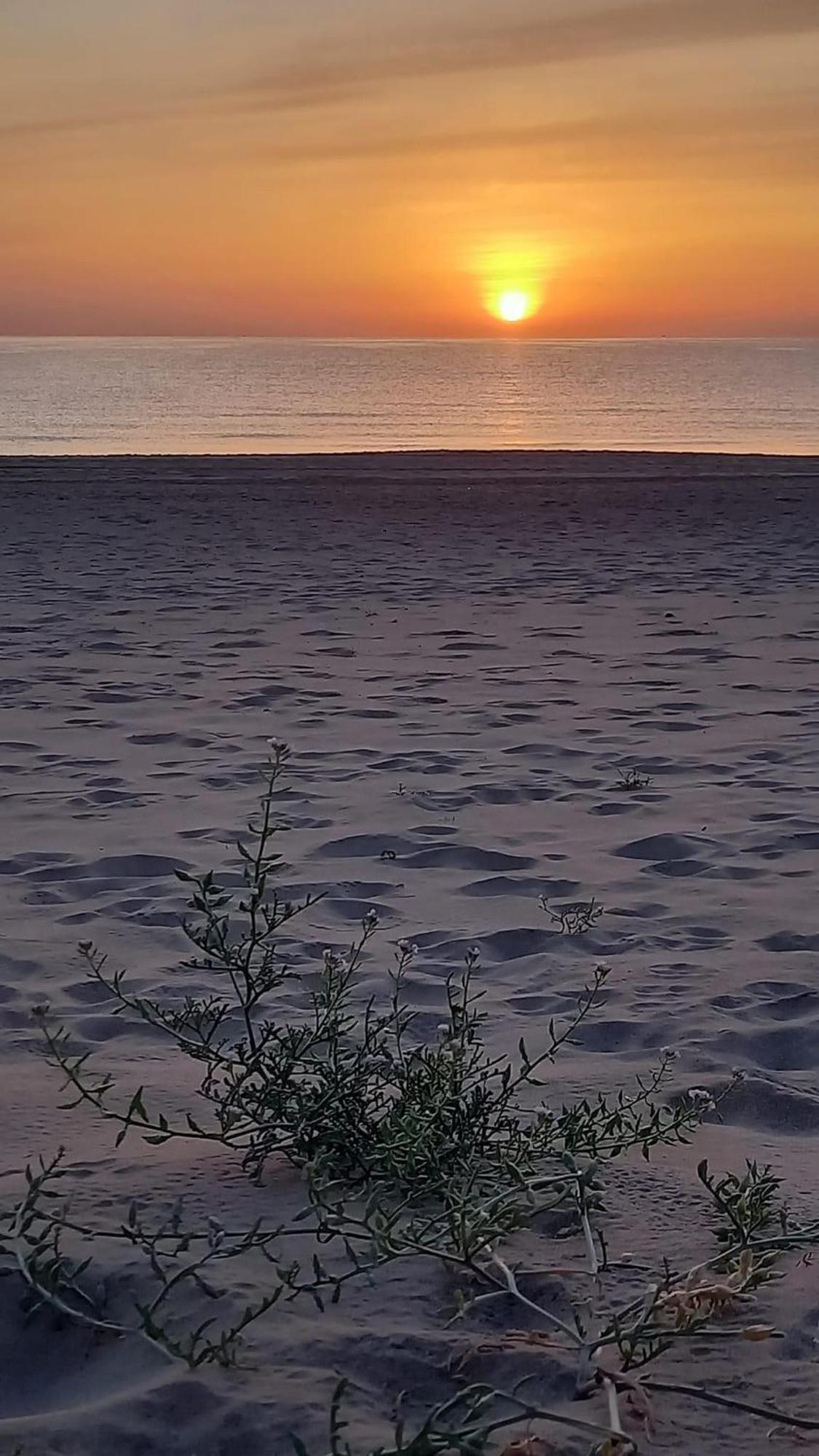 Vivienda En El Campello Playa Villa Dış mekan fotoğraf